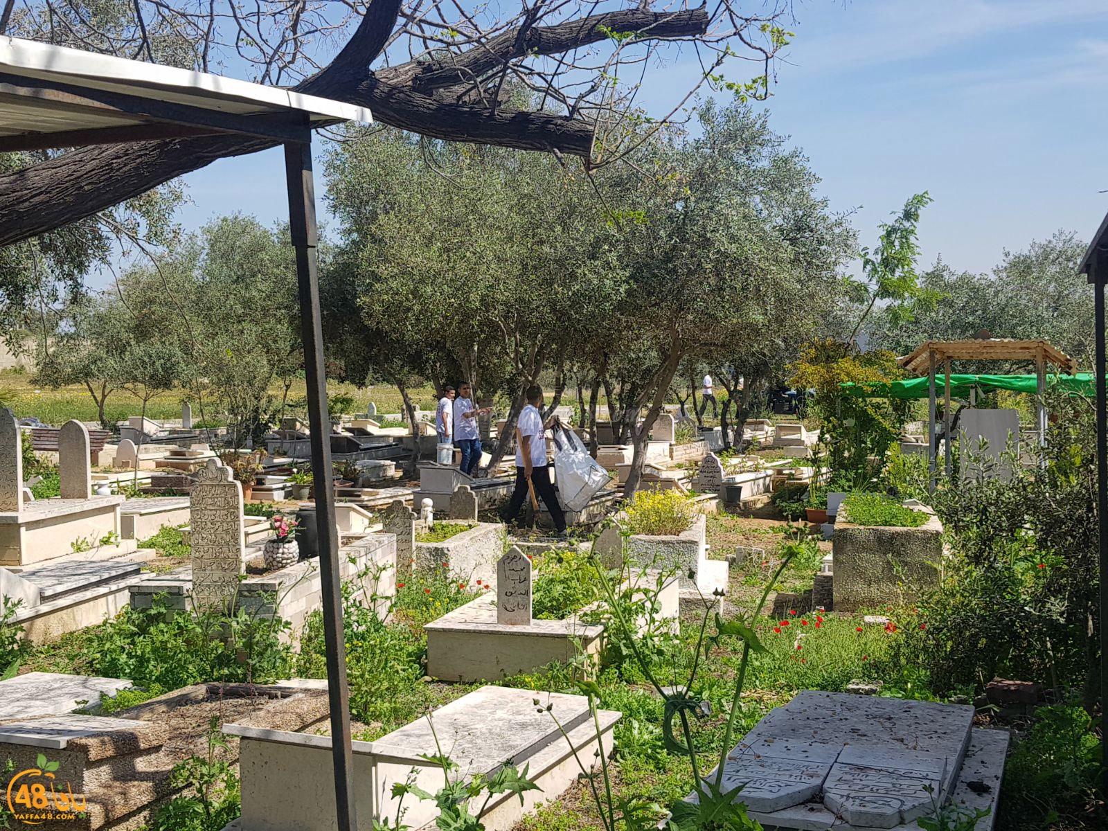 tasooshamelaj3haj (25).jpg